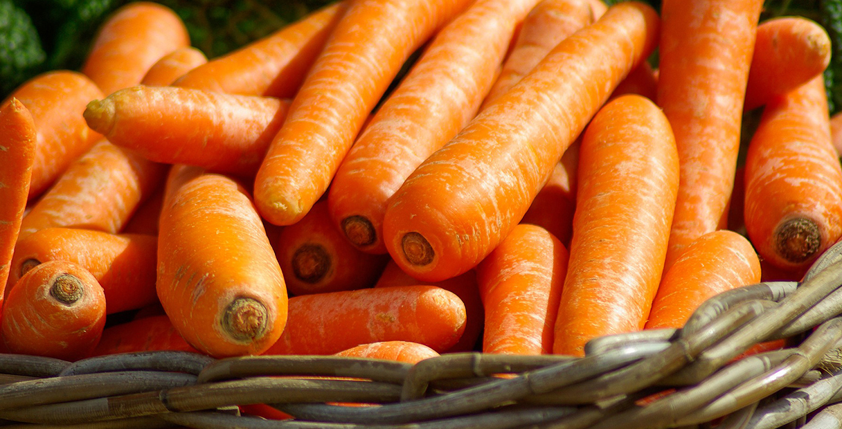 Paleo Diet Review: Does It Work for Weight Loss?
